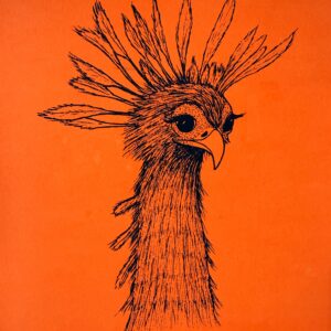 Secretary bird - Blue & orange