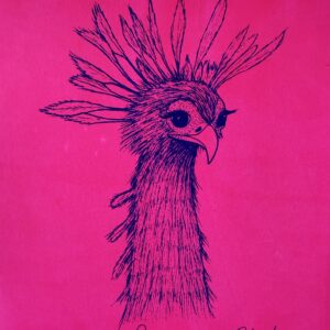 Secretary bird -Blue & neon pink