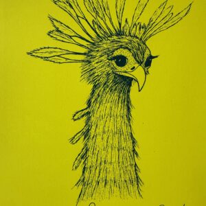 Secretary bird - Blue & yellow