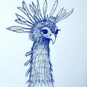 Secretary bird - Blue & white