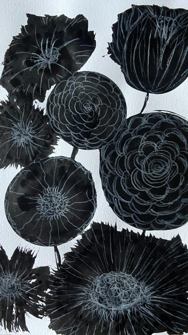 Day 97/100/intuition 17: Ink flowers 

#flowers #ink #pencil #intuition #oneaday